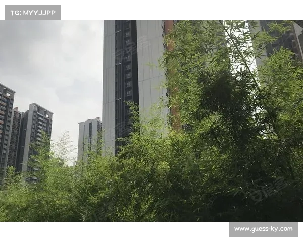 计成点评环上海新城赛道设计更具科学性与可持续性分析 计成点评环上海新城赛道设计更具科学性与可持续性分析