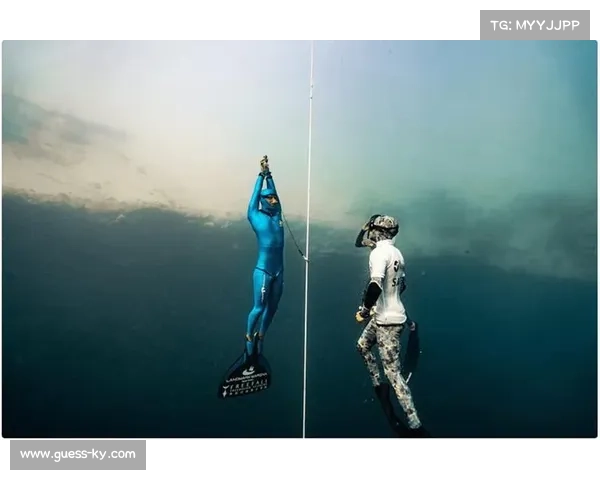 科学家解读低温水压对自由潜水心血管系统的生理影响及极限挑战 科学家解读低温水压对自由潜水心血管系统的生理影响及极限挑战